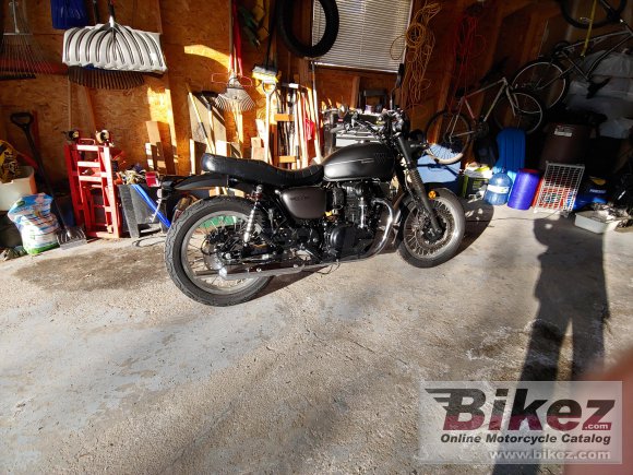 2019 kawasaki w800 street